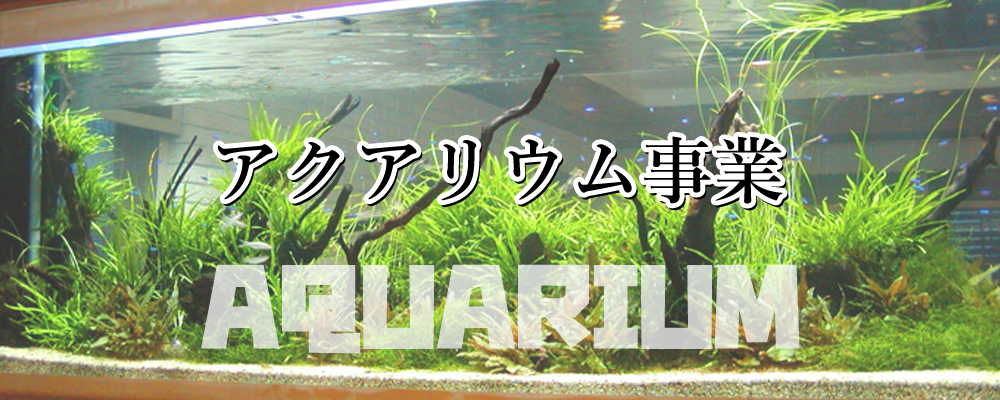 アクアリウム事業
