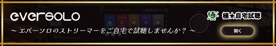 Eversolo（エバーソロ）